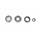 Athena 84-91 Honda CR 250 R Main Bearing & Seal Kit - P400210444249 Photo - Primary