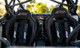 PRP Contour Suspension Seat - Black & Red - AO62001-204 Photo - Close Up