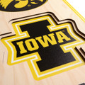 Iowa Hawkeyes 8" x 32" 3D Stadium Banner Wall Art