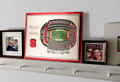 North Carolina State Wolfpack 5-Layer StadiumViews 3D Wall Art