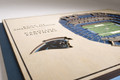 Carolina Panthers 5-Layer StadiumViews 3D Wall Art