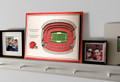Cleveland Browns 5-Layer StadiumViews 3D Wall Art