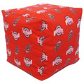 Ohio State Buckeyes 18" x 18" Cube Cushion