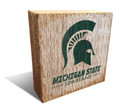 Michigan State Spartans Team Logo Block