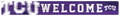 Texas Christian Horned Frogs 16" Welcome Strip