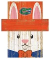 Florida Gators 19" x 16" Easter Bunny Head