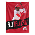 Cincinnati Reds 50" x 60" Elly De La Cruz Wall Hanging