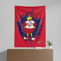 St. Louis Cardinals 50" x 60" Mascot Wall Hanging