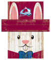 Colorado Avalanche 19" x 16" Easter Bunny Head