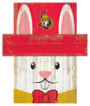 Ottawa Senators 6" x 5" Easter Bunny Head