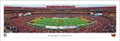 Washington Commanders Panorama