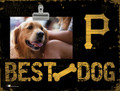 Pittsburgh Pirates Best Dog Clip Frame