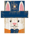 Houston Astros 6" x 5" Easter Bunny Head