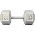 York Cast Iron Hex Dumbbell