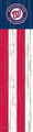 Washington Nationals 48" Flag Leaner