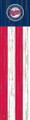Minnesota Twins 48" Flag Leaner