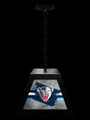 Maine Black Bears Pendant Box Light