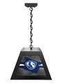 Eastern Illinois Panthers Pendant Box Light
