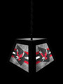 Eastern Washington Eagles Pendant Box Light