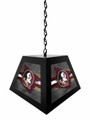Florida State Seminoles Pendant Box Light