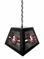 Florida State Seminoles Pendant Box Light
