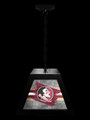 Florida State Seminoles Pendant Box Light