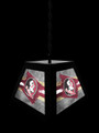 Florida State Seminoles Pendant Box Light