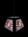 Florida State Seminoles Pendant Box Light