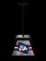 Fresno State Bulldogs Pendant Box Light