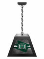 Hawaii Warriors Pendant Box Light