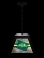 North Dakota State Bison Pendant Box Light