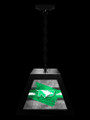 North Dakota Fighting Hawks Pendant Box Light