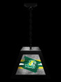 Northern Michigan Wildcats Pendant Box Light