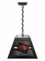 Oregon State Beavers Pendant Box Light