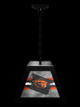 Oregon State Beavers Pendant Box Light