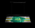 North Dakota State Bison Long Box Billiard Light