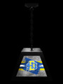 South Dakota State Jackrabbits Pendant Box Light