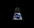 North Florida Ospreys Long Box Billiard Light