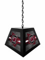 South Carolina Gamecocks Pendant Box Light