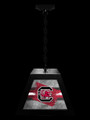 South Carolina Gamecocks Pendant Box Light