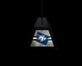 Nashville Predators Long Box Billiard Light