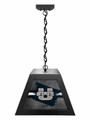 Utah State Aggies Pendant Box Light