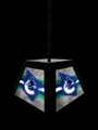 Vancouver Canucks Pendant Box Light