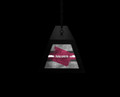 Southern Illinois Salukis Long Box Billiard Light