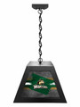 Wright State Raiders Pendant Box Light