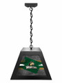 Wright State Raiders Pendant Box Light