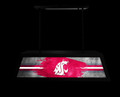 Washington State Cougars Long Box Billiard Light