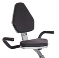 Stamina Recumbent Exercise Bike with Upper Body Exerciser