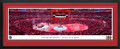 Chicago Blackhawks Centennial Ceremony Panorama