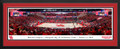 Houston Cougars Basketball Panorama